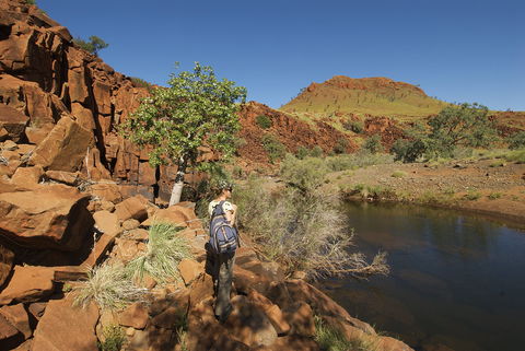 Millstream - New South Wales Tourism  0