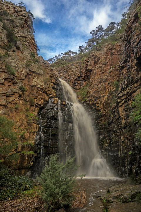 Morialta Conservation Park - New South Wales Tourism  0