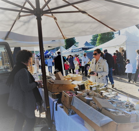 Mornington Racecourse Market - New South Wales Tourism  0