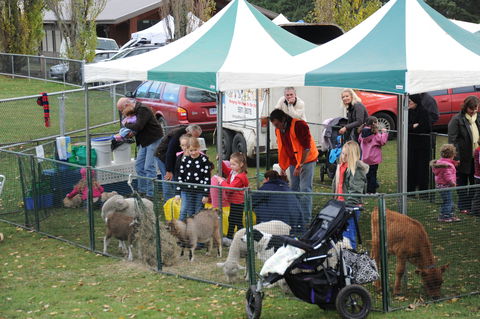 Mornington Racecourse Market - New South Wales Tourism  2