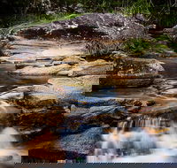 Mothar Mountain Rockpools - New South Wales Tourism 