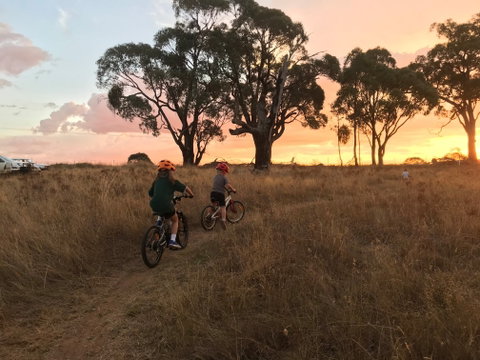 Mountain Bike Trails Tumbarumba - New South Wales Tourism  2