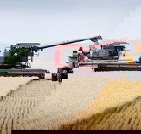 Mullaley - New South Wales Tourism 