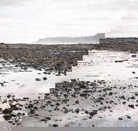 Mushroom Reef Beach - New South Wales Tourism 