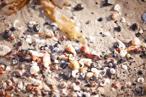 Mushroom Reef Beach - New South Wales Tourism  1