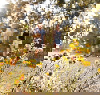 Nail Can Hill - New South Wales Tourism 