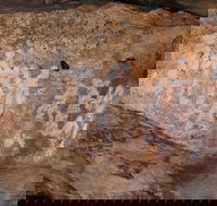 Ngamadjidj Shelter - Wartook Valley - New South Wales Tourism 