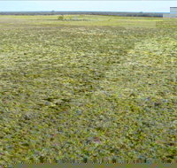 Nilla Yannagalang Billana - New South Wales Tourism 