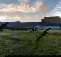 Numinbah Valley Adventure  Camping - New South Wales Tourism 