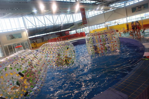 Oasis Regional Aquatic Centre - New South Wales Tourism  0