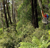 Pipers lookout - New South Wales Tourism 
