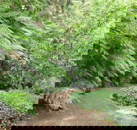 Pirianda Gardens - New South Wales Tourism 