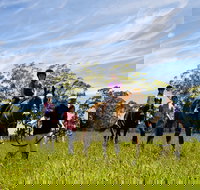 Port Macquarie Horse Riding Centre - New South Wales Tourism 