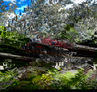 Puffing Billy Railway - New South Wales Tourism 