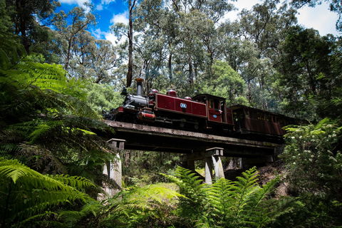 Puffing Billy Railway - New South Wales Tourism  0