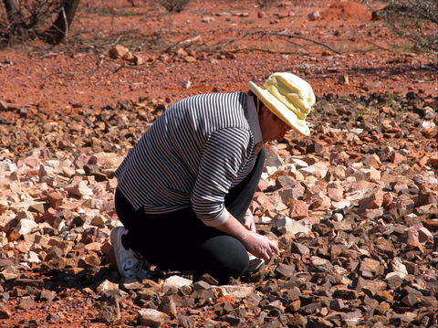 Quilpie Opal Fossicking - New South Wales Tourism  1