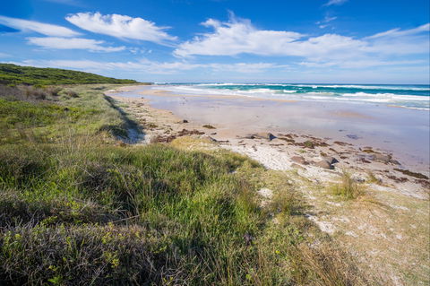 Racecourse Beach: Bawley Point - New South Wales Tourism  0
