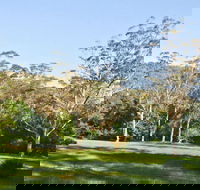 Red Cedar Flat Picnic Area - New South Wales Tourism 