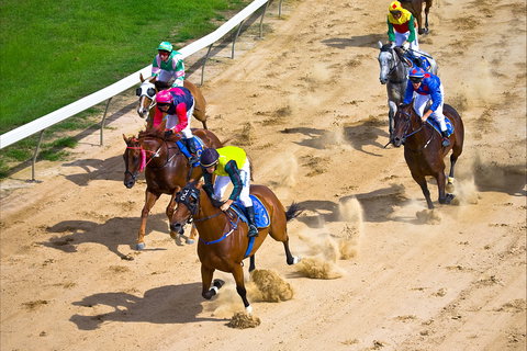 Roma - New South Wales Tourism  1