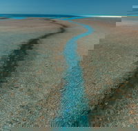 Rowley Shoals - New South Wales Tourism 
