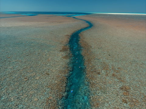 Rowley Shoals - New South Wales Tourism  0