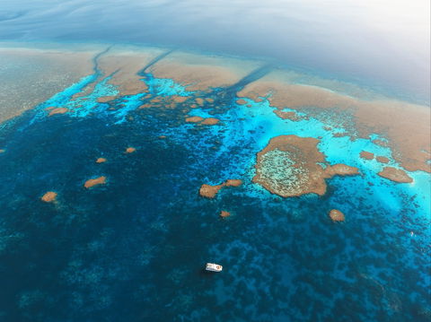 Rowley Shoals - New South Wales Tourism  1