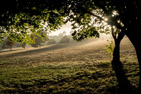 Ruffey Lake Park - New South Wales Tourism  0
