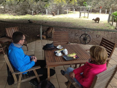 Rustic Blue Gallery Cafe Day Spa - New South Wales Tourism  2