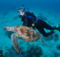 Second Reef Dive Site - New South Wales Tourism 
