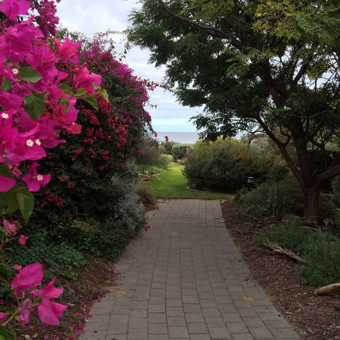 Secret Garden, Moonta Bay - New South Wales Tourism  0