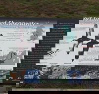 Settlement Point Viewing Platform - New South Wales Tourism 