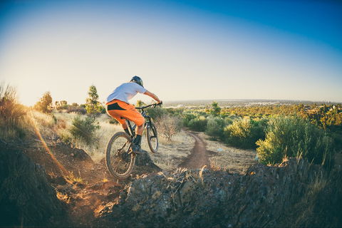 Shepherds Hill Recreation Park - New South Wales Tourism  0