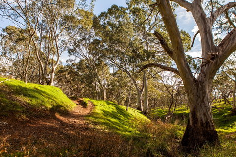 Shepherds Hill Recreation Park - New South Wales Tourism  1