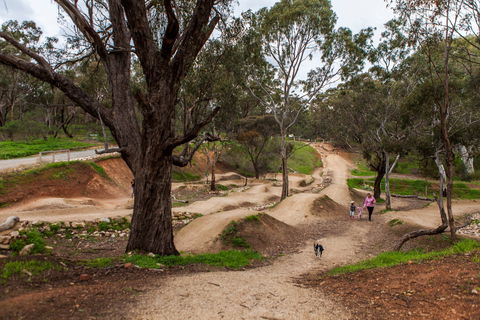 Shepherds Hill Recreation Park - New South Wales Tourism  2