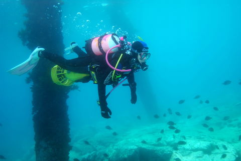 Shellharbour Scuba  And Photography Centre - New South Wales Tourism  0