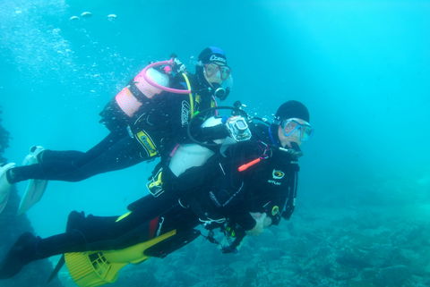 Shellharbour Scuba  And Photography Centre - New South Wales Tourism  1