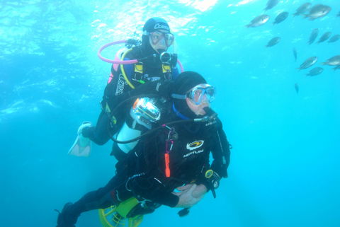 Shellharbour Scuba  And Photography Centre - New South Wales Tourism  2