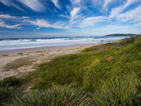 Shelly Beach - New South Wales Tourism  1