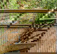 Somersby Falls walking track - New South Wales Tourism 