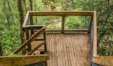 Somersby Falls Walking Track - New South Wales Tourism  0