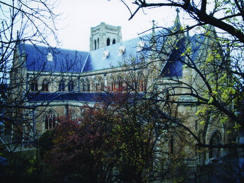 St Saviour's Anglican Cathedral - New South Wales Tourism  2