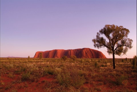 Sunrise Viewing Area Talinguru Nyakunytjaku - New South Wales Tourism  0