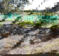 Tactical Paintball Games - New South Wales Tourism 