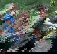 Tamworth Marsupial Park and Adventure Playground - New South Wales Tourism 