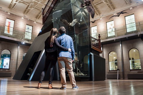 Tasmanian Museum And Art Gallery - New South Wales Tourism  1