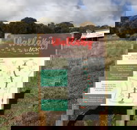 The Wallaby Track - New South Wales Tourism 