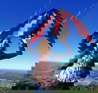 The Lookout Cambewarra Mountain - New South Wales Tourism 