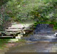The Pioneer Valley and Eungella National Park - New South Wales Tourism 