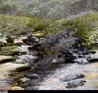 Thredbo River Track - New South Wales Tourism 