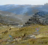 Thredbo Mountain Biking - New South Wales Tourism 